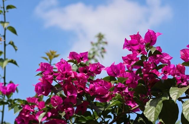 自己生日对妈妈说的话发朋友圈 自己生日对妈妈说的话发朋友圈