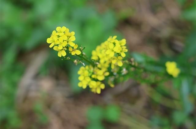 星期二问候语及关心话客户 星期二问候语及关心话客户