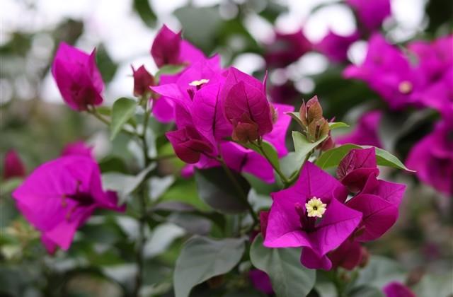 晒一家三口的唯美句子 晒一家三口的唯美句子