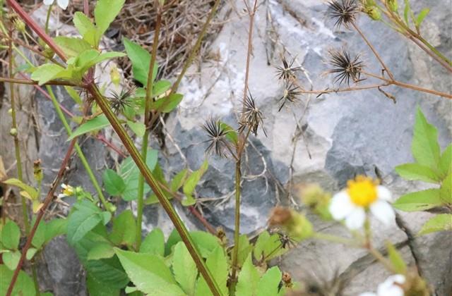 王者荣耀宠溺情侣名(优选124个)