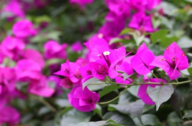 最简短最深情的一句话 最简短最深情的一句话