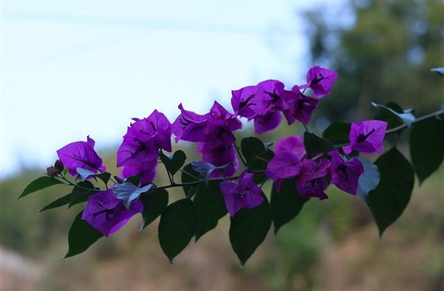 2024年最火微信名字(精选126个)