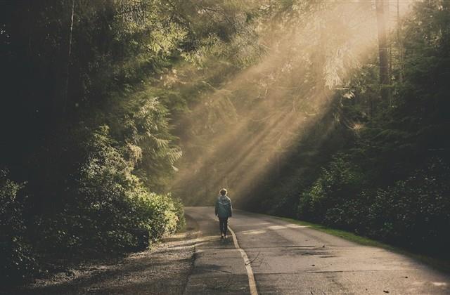 森系小清新女生网名(精选114个)