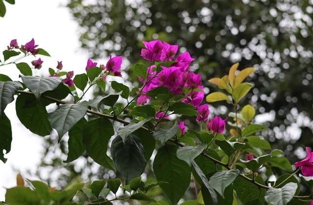 世事难两全的说说 世事难两全的说说