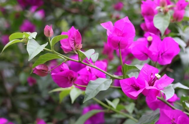 心里亏欠一个人的句子,我辜负了一个爱我的人说说(19句) 心里亏欠一个人的句子,我辜负了一个爱我的人说说(19句)