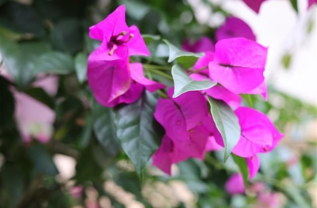 让人惊艳的文案温柔长句(27句) 让人惊艳的文案温柔长句(27句)