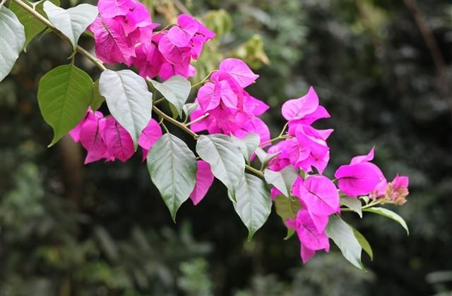 等待的女生网名(优选97个)