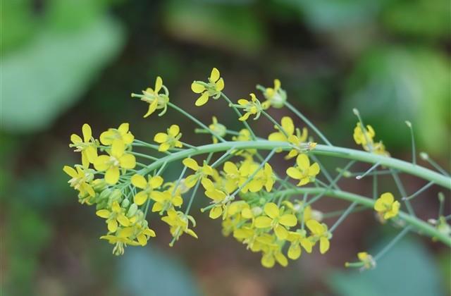 等待的女生网名(优选97个)