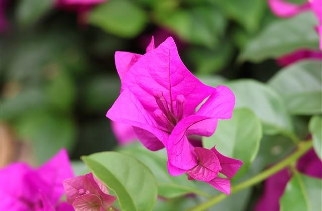 最火情侣昵称带符号大全(共76个)