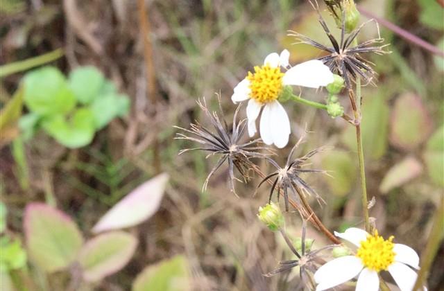 最新版很绝情的霸气网名(精选89个)