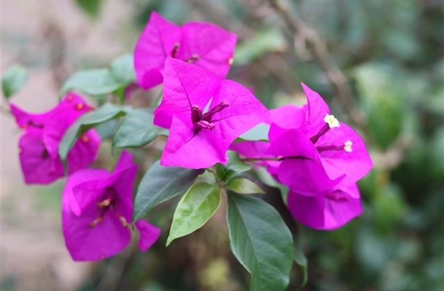 一人一句情侣文案