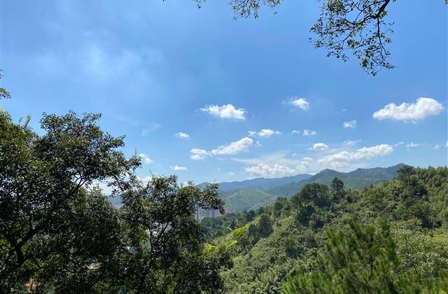 王者伤感情侣名