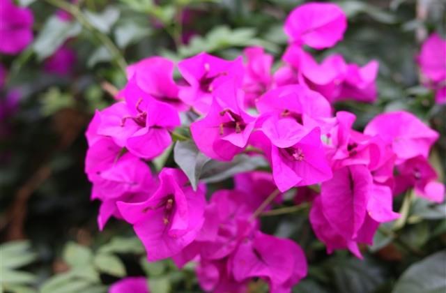 王者伤感情侣名