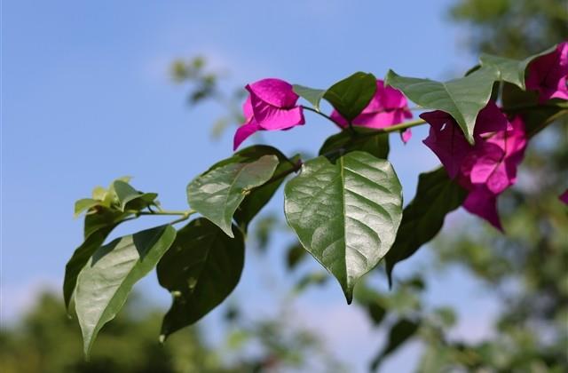 破碎的誓言个性网名(优选203个)