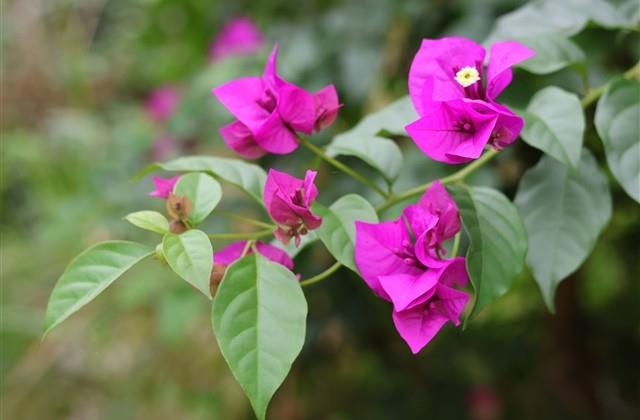 高质量的情侣网名(精选105个)