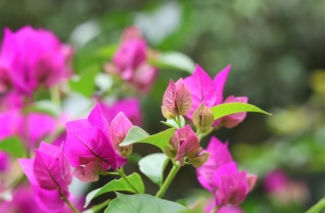 2024年男孩乳名（好听238个）