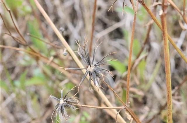 搞笑有趣的个性网名(共150个)