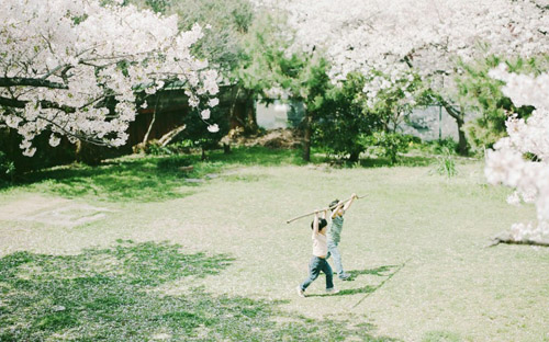 兴字取名的寓意是什么