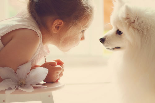 2024年女孩洋气秀气的名字