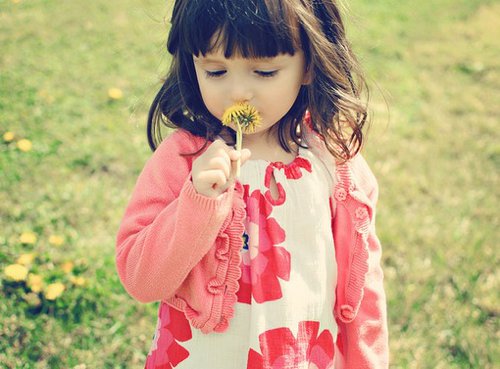 2024年女孩高贵清新秀丽的名字