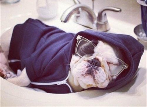 周末愉快经典短句子（精选135句）