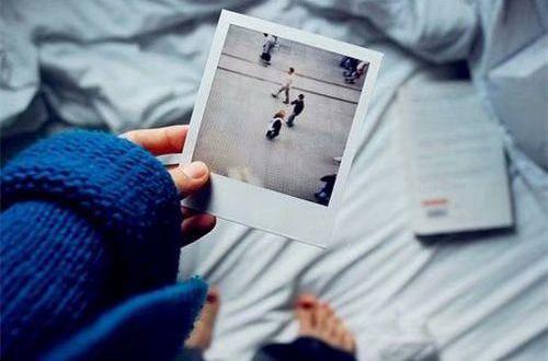 树的优美句子集合78条