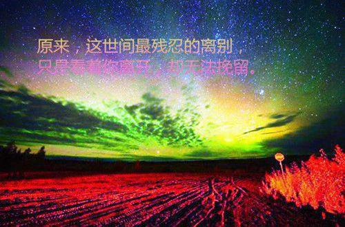 常用花朵优美句子摘录46条