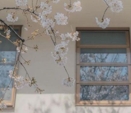 大学生毕业季优美句子