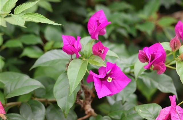 龙年2024寓意好的字（142个）