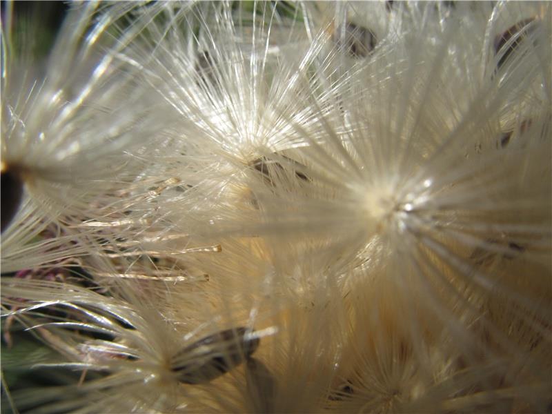 一段简短而深情的告白(75句)