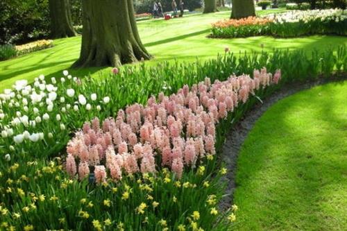 很甜很撩的早安句子(实用110句)