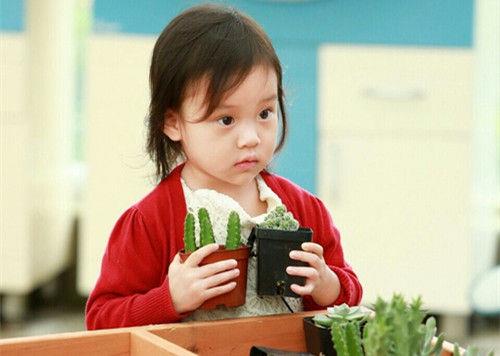 新的一月正能量句子集锦