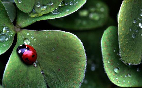 非主流情侣昵称名字（85条）