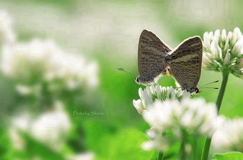 一个人的旅行说说 一个人旅行的伤感句子