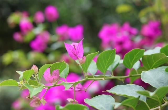 女人正能量内涵好听网名大全(优选252个)