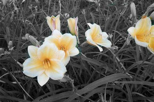 对一个人表达爱意的思念句子