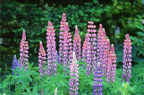 复活节经典语录