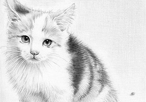 100个极品好听的名字