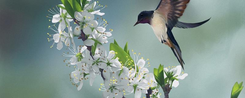 独一无二的单字名字 冷门生僻字ID