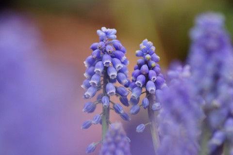 2025年简单的伤感唯美句子锦集90条