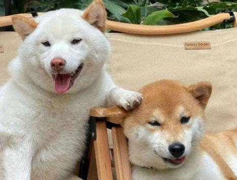 唯美意境青春励志句子