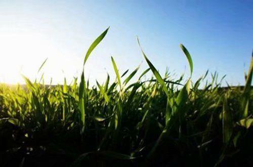 发朋友圈的爱情句子