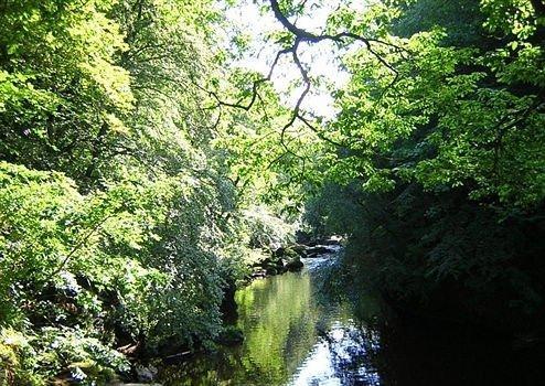 6月再见7月你好朋友圈句子(精选60条)