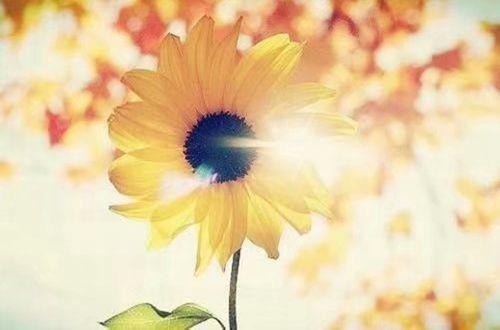 简短的人生哲理句子摘抄