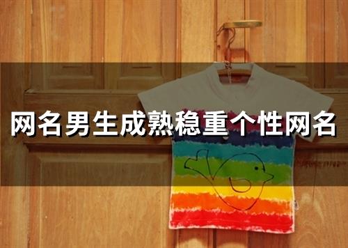 网名男生成熟稳重个性网名(精选107个)