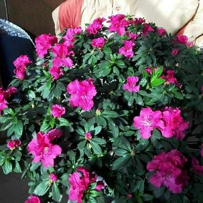 适合中老年人使用的微信网名精选