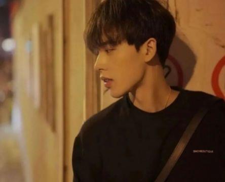 精选树的优美句子集锦66条