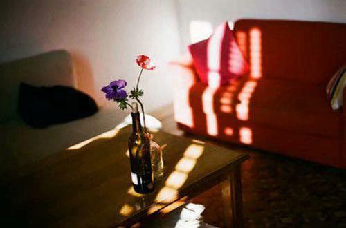 简短的人生感悟的句子集合76条