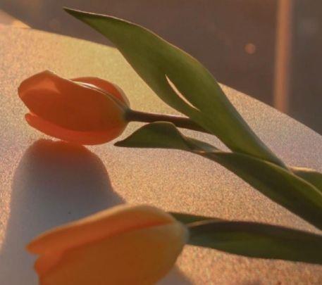 描写晚霞的优美文案