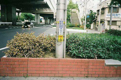 【热门】2025年朋友圈伤感句子摘录80条